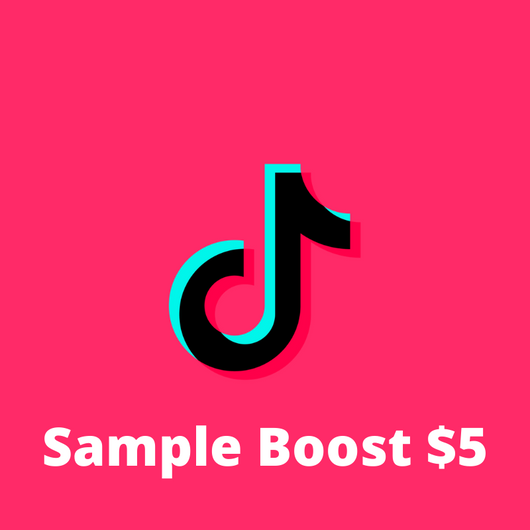 TikTok Influencer Booster | 1 Post Sample Boost