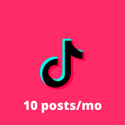 TikTok Influencer Booster | 10 Posts Per Month