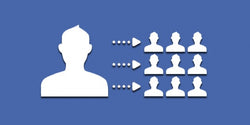 We will help you create 10 Advanced & Precisely Targeted Lookalike Audiences